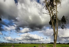 包含集结日德甲焦点战；上海海港手感冰凉；管理层满意；年轻球员得到机会的词条-爱游戏网站下载